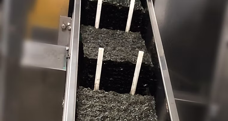 Organic Seaweed Snacks Made in USA